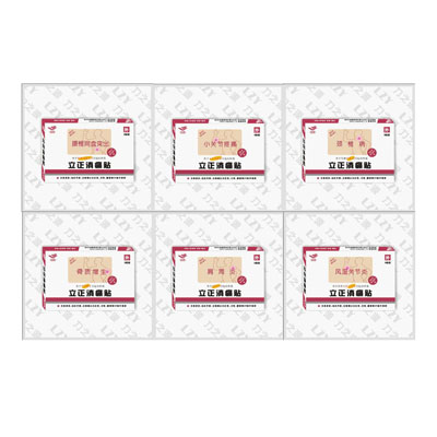 立正消痛貼系列型